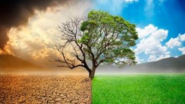 We Should Take Climate Debate to the Grassroots