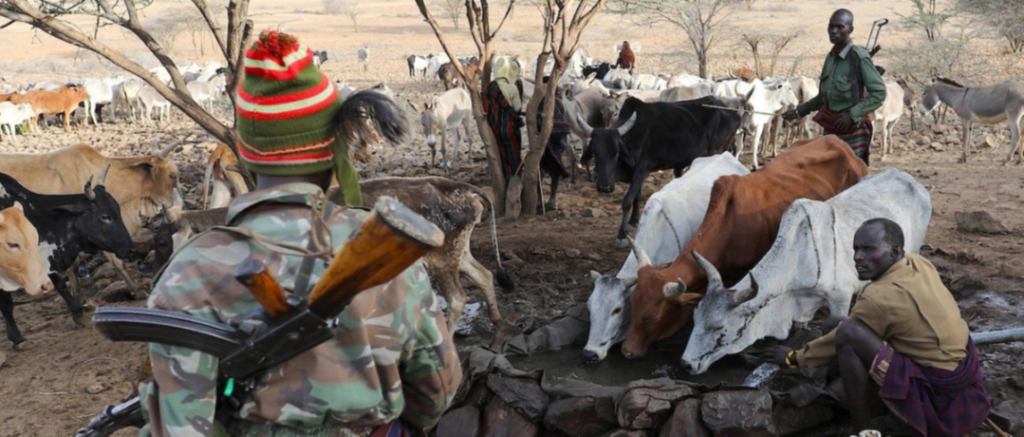 The Emerging Dimensions of the Insecurity in Laikipia County