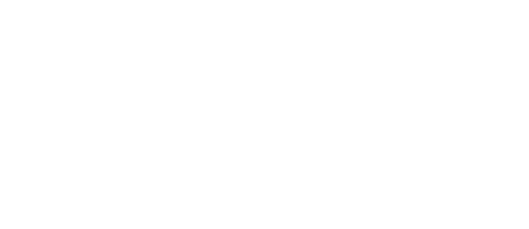 THE GLOBAL CENTRE FOR POLICY AND STRATEGY